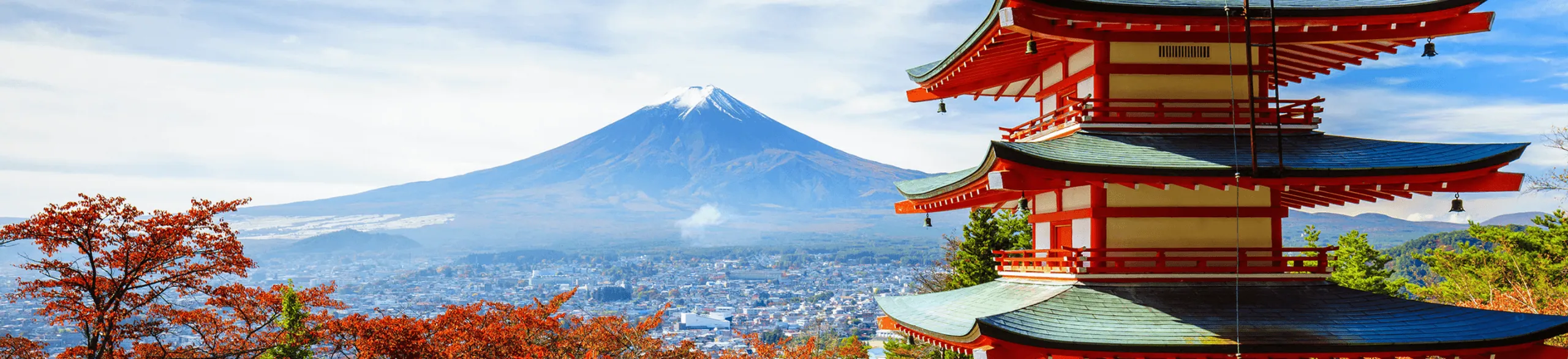 پس زمینه ویزا