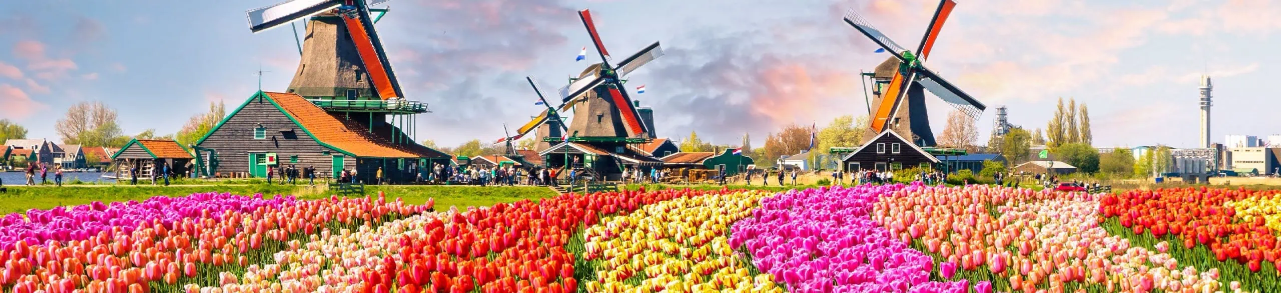 پس زمینه ویزا