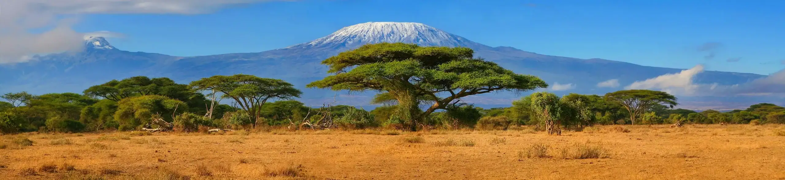 پس زمینه ویزا