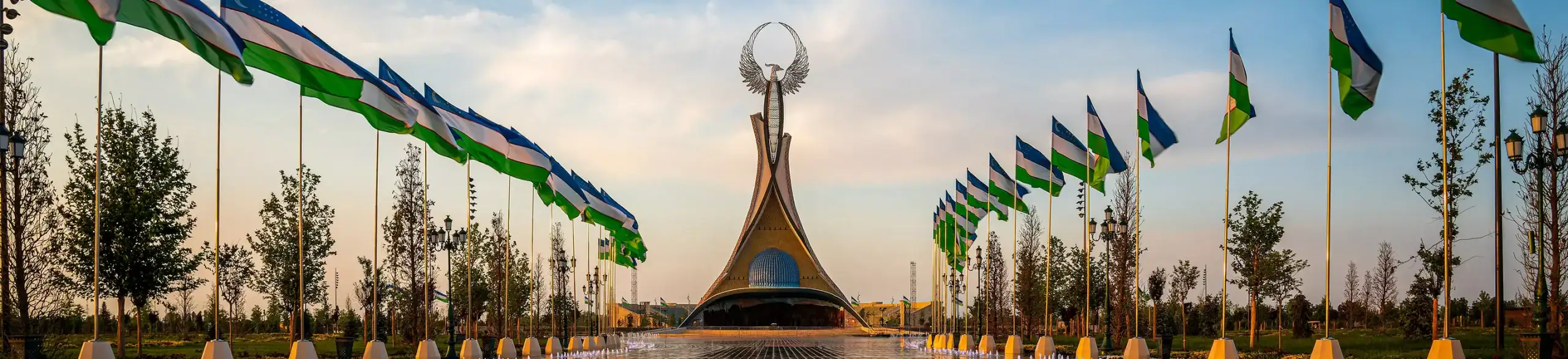 پس زمینه ویزا