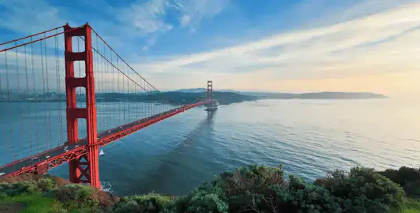 ویزای آمریکا