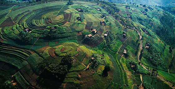 ویزای اوگاندا