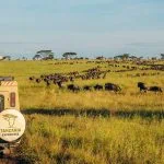 راهنمای کامل سفر به تانزانیا