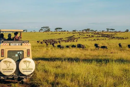 راهنمای کامل سفر به تانزانیا